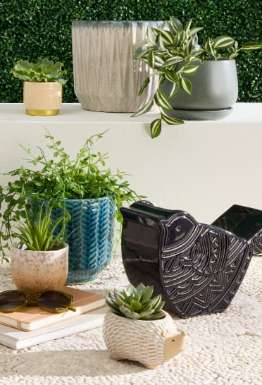 Indoor Pots & Planters