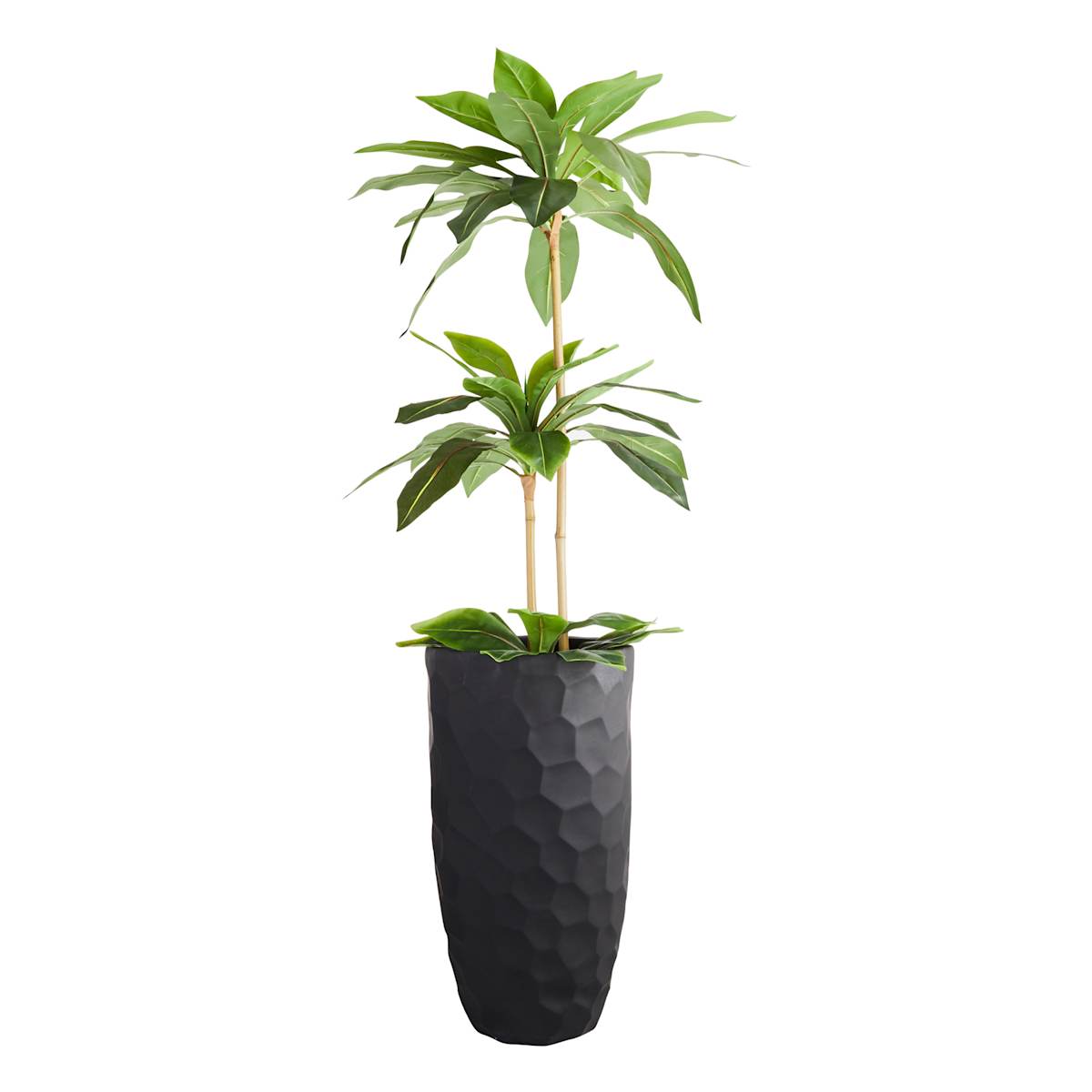 Crosby St. Elena Black Outdoor Planter, Large