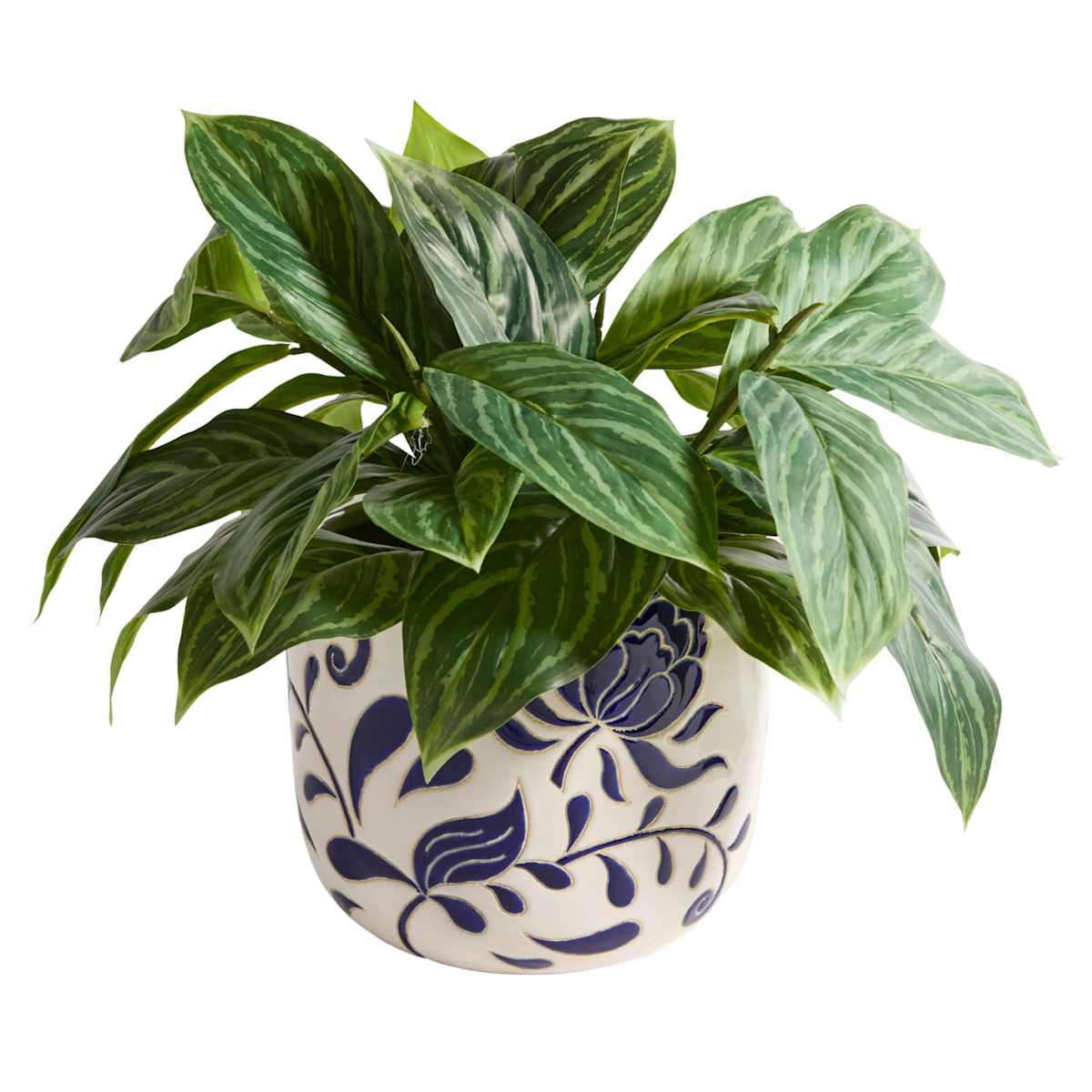 Indoor Chrysanthemum Planter, Large