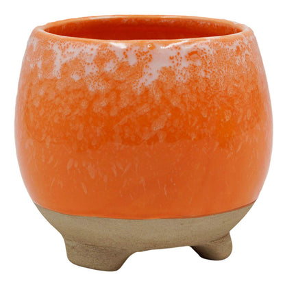 Indoor Cleo Orange Planter, 4"